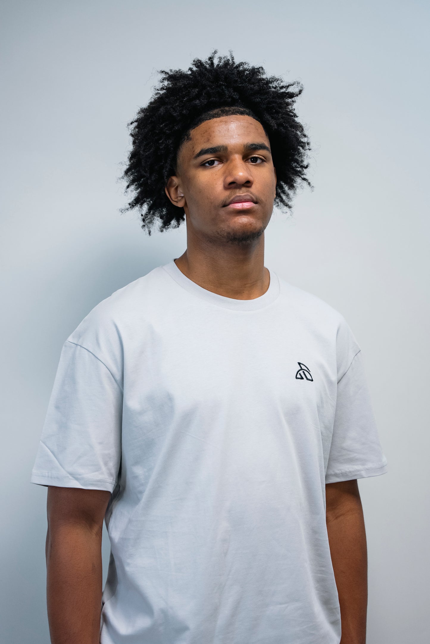 T-SHIRT GRIS - DAILY OVERSIZE